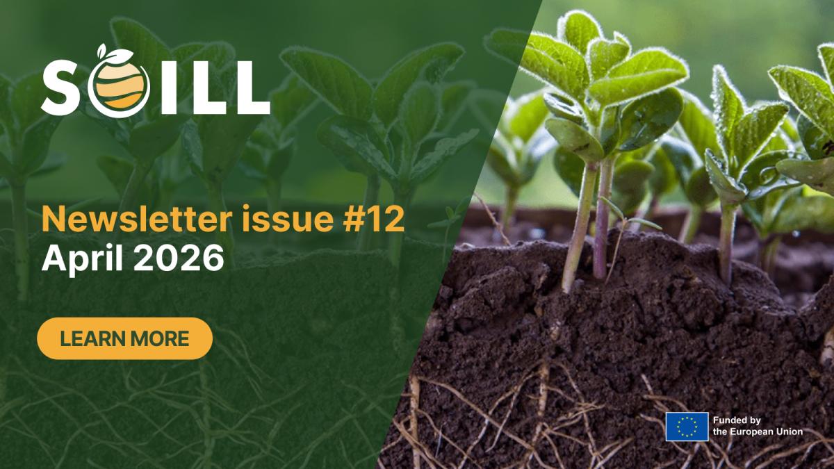 Newsletter #12